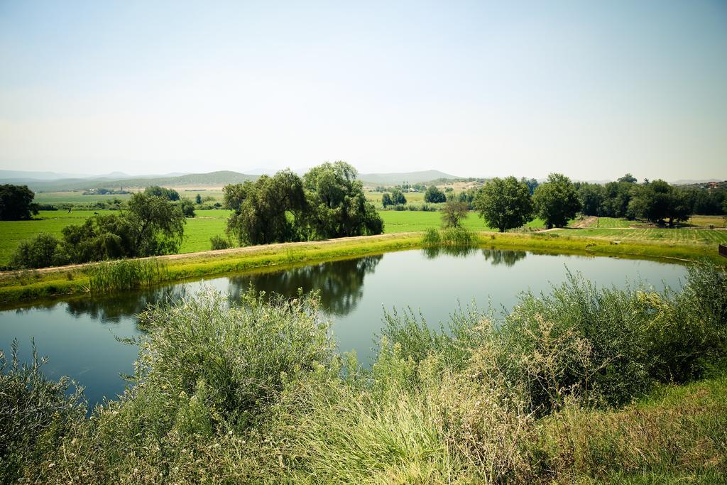 فيلا Surval Boutique Olive Estate أوتشورن المظهر الخارجي الصورة